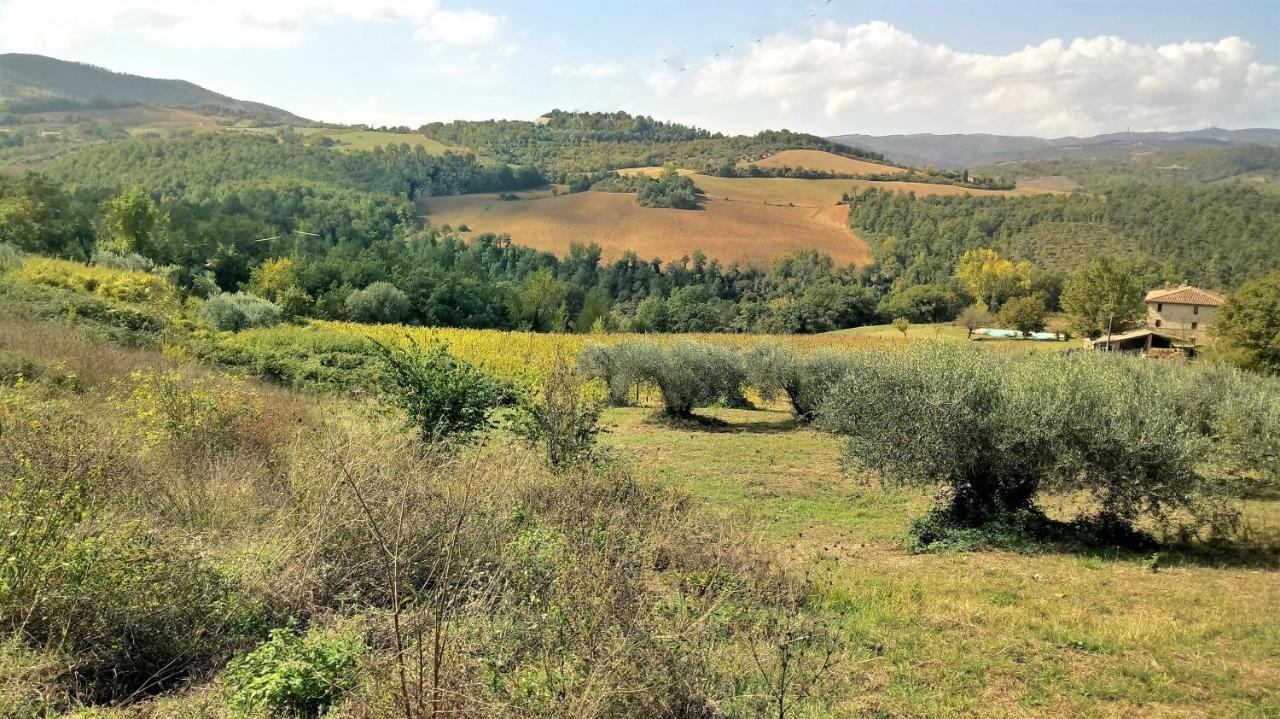 Campo Al Vento - Country Farm Vila Monte Castello di Vibio Exterior foto